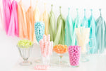 Rainbow Tassel Garland Kit